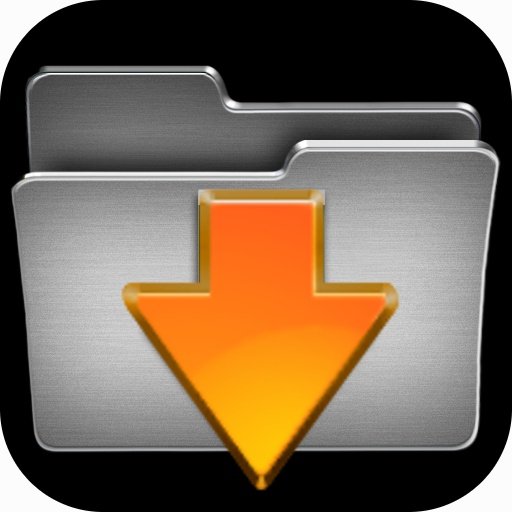 Best Manager Video Downloader截图1