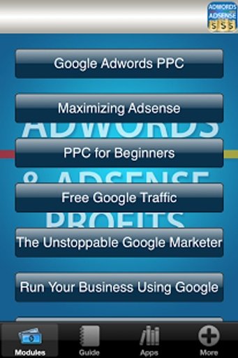 的Adwords PPC免费利润截图3