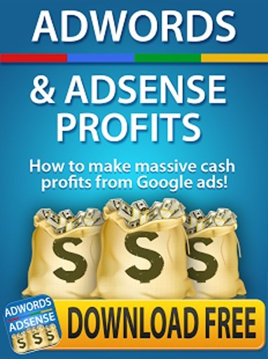 的Adwords PPC免费利润截图11