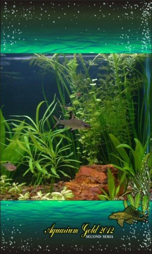 Aquarium Best Fishes 3D截图1