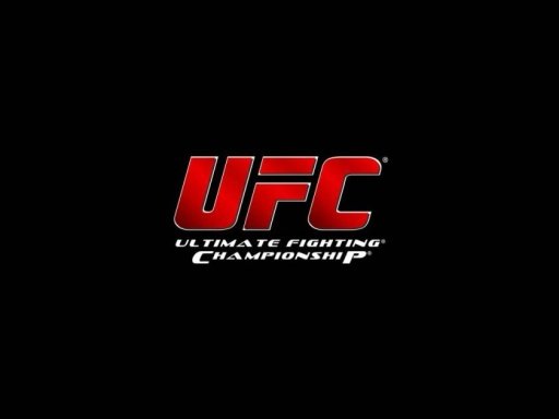 UFC Fans截图2