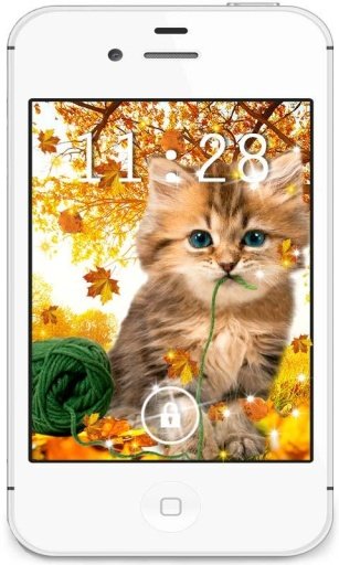 Autumn Kitty HD live wallpaper截图5