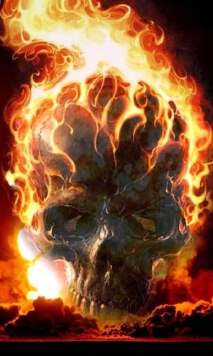 Skull n Flames Wallpapers HD截图5