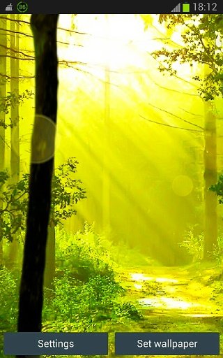 Green Forest Wallpapers App截图1