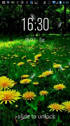 Dandelion Lock截图2