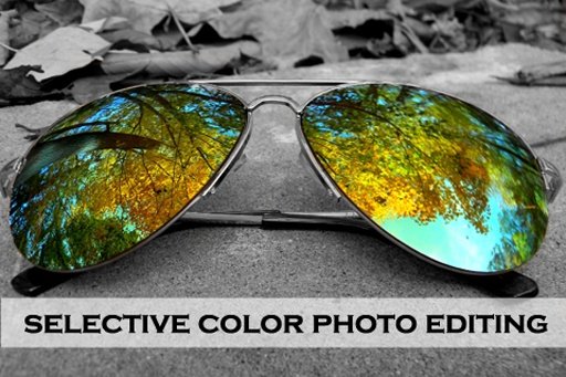 Selective Color Photo Editing截图2