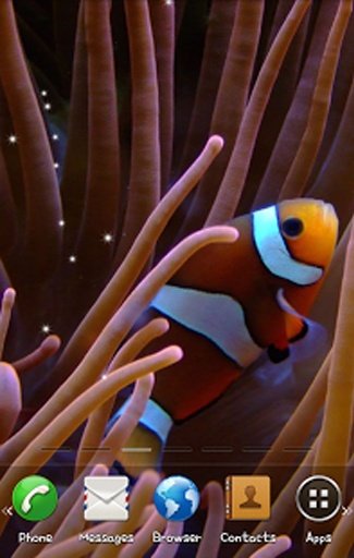 Clownfish Live Wallpaper截图1