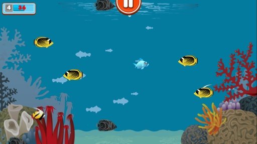 Grumpy Fish截图1