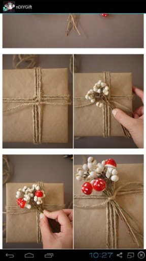 DIY Gift Idea Easy截图2