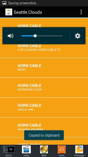 HORN CABLE TV LIVE截图5