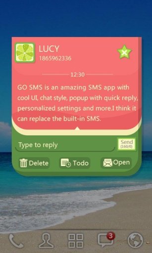 GO SMS PRO WATERMELON THEME截图6