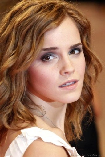 Emma Watson HD LWP截图1