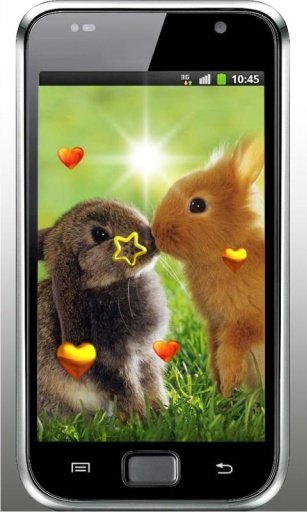 Valentine Rabbits HD LWP截图3