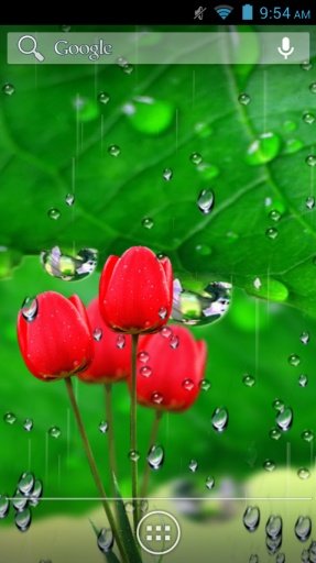 Flowers Rain Fall Wallpaper截图6