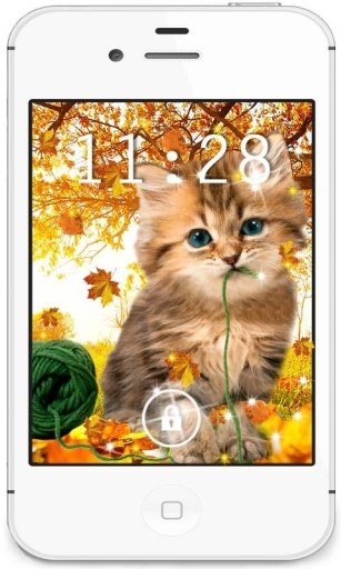 Autumn Kitty HD live wallpaper截图2