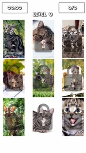 American Shorthair Puzzle Game截图3