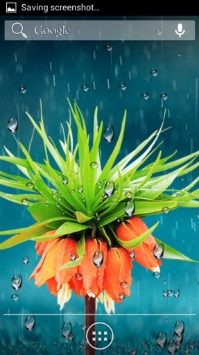 Flowers Rain Fall Wallpaper截图1