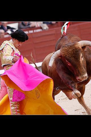 Corrida illustrated截图1