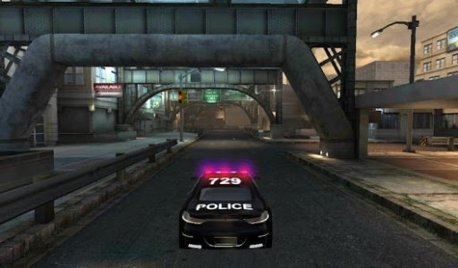 Street Police Car Driver 3D截图1