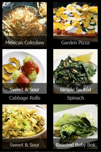 Healthy Vegetable Diet Recipes截图4