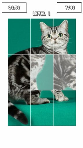 American Shorthair Puzzle Game截图1