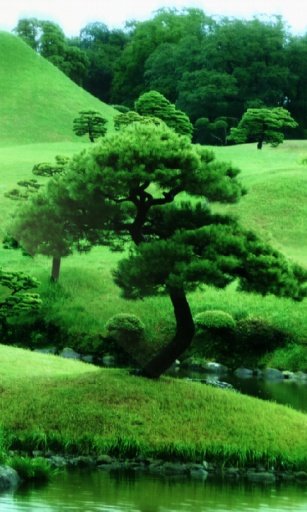 Zen garden Live Wallpaper截图8