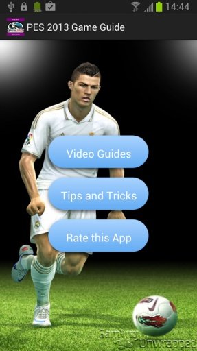 PES 2013 Game Guide截图11