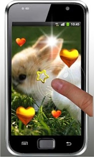 Valentine Rabbits HD LWP截图8