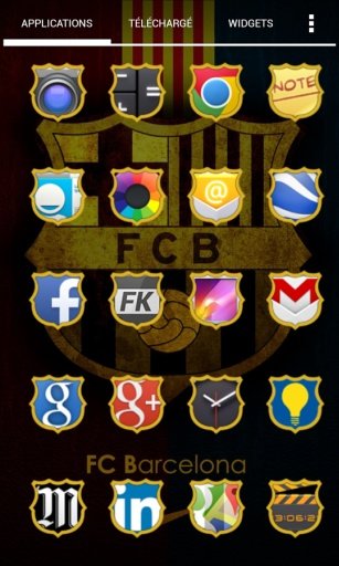 FOOT Icon pack Apex Nova ADW截图2