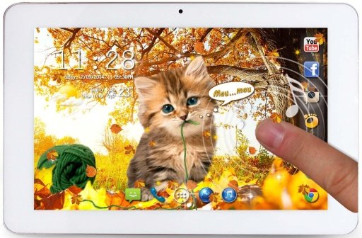 Autumn Kitty HD live wallpaper截图4