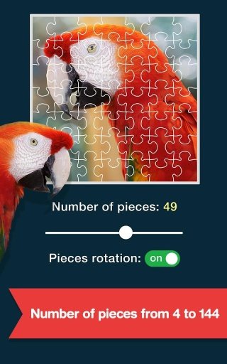 Jigsaw Puzzles™截图4