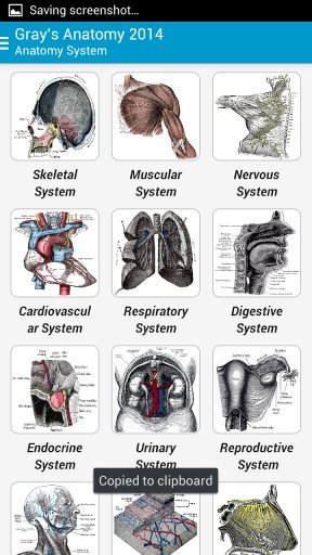 Gray's Anatomy 2014 Full Free截图2