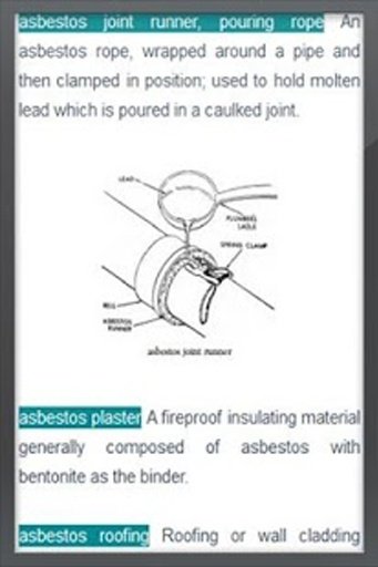 Dictionary of Architecture截图4