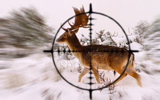 Deer Carnivores Hunter截图4