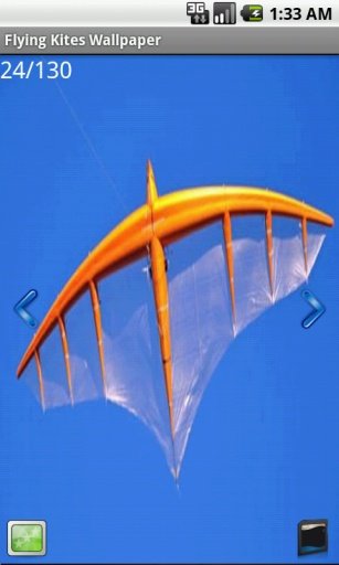 Kites Flying Wallpaper截图4