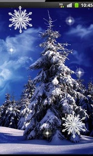 Winter Moon Live Wallpaper截图3