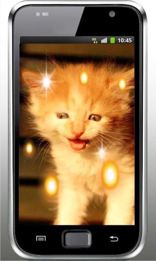 Pussy Cat HD live wallpaper截图2