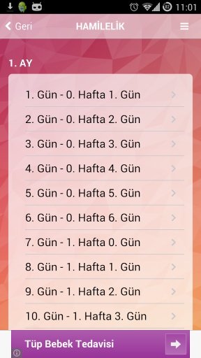 Hamilelik (Gebelik) G&uuml;n G&uuml;n截图3