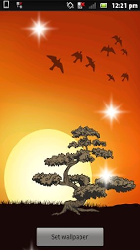 Live Bonsai Sunset Wallpaper截图2