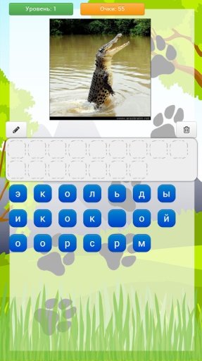 Wild Animal Quiz截图2