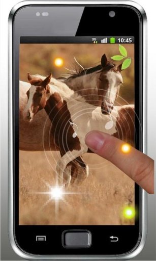 Horses Photo HQ live wallpaper截图1