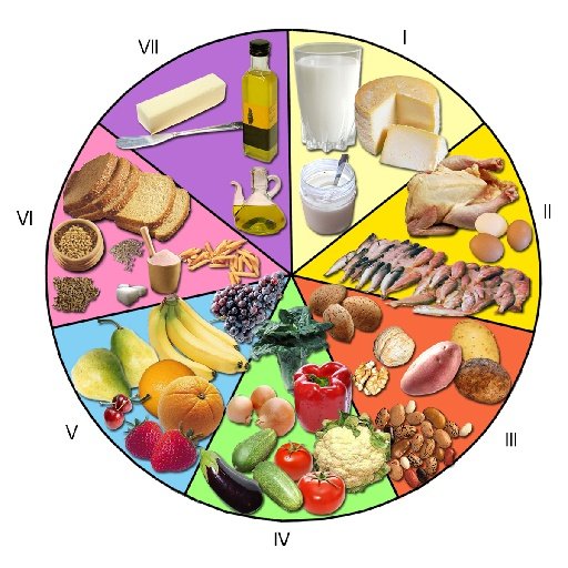 DIETA Y ADELGAZAR RAPIDO截图2