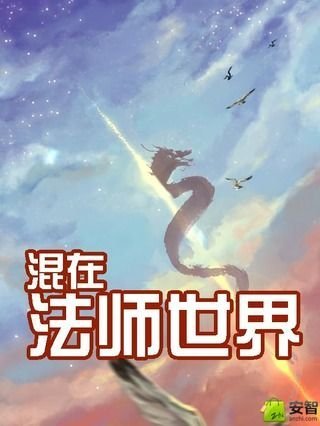 混在法师世界截图1