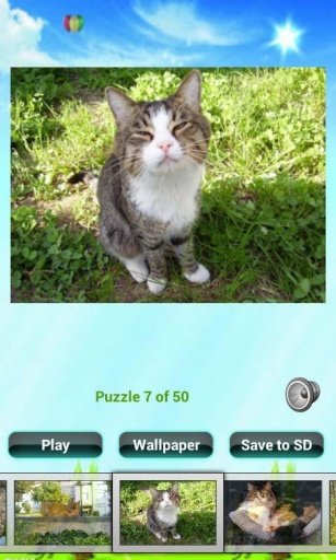 Cat Puzzles截图6