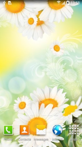 Daisies Live Wallpaper截图7