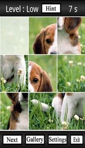 Cute Dogs Jigsaw Puzzles截图4