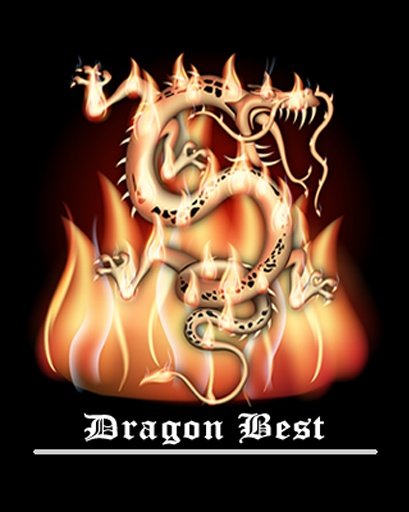 Dragon Best截图9