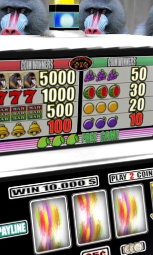 Mandrill Slots - Free截图1