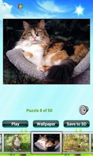 Cat Puzzles截图1