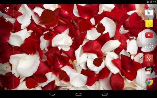 Rose petals Live Wallpaper截图2